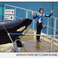 Marineland - Orques - Spectacle 18h15 - 5509