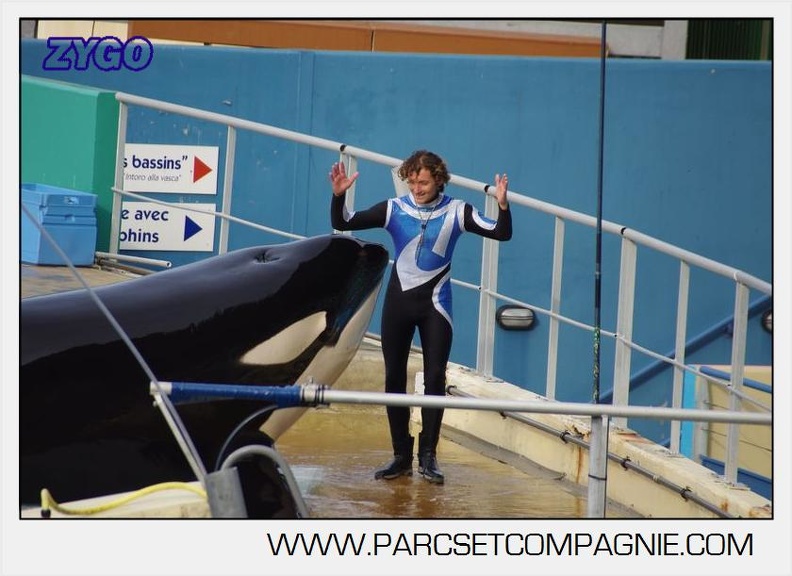 Marineland - Orques - Spectacle 18h15 - 5510