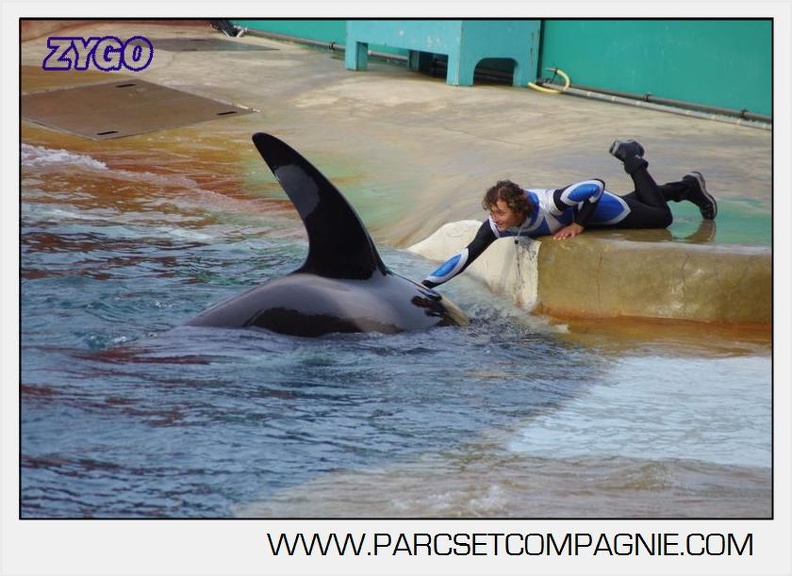 Marineland - Orques - Spectacle 18h15 - 5512
