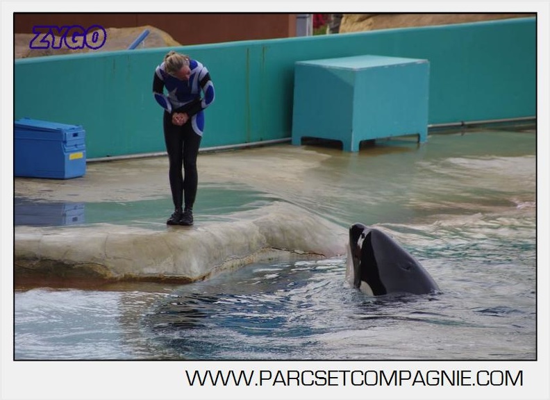 Marineland - Orques - Spectacle 18h15 - 5513