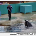 Marineland - Orques - Spectacle 18h15 - 5513