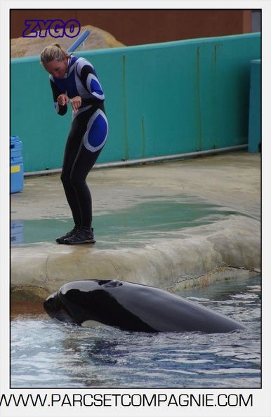 Marineland - Orques - Spectacle 18h15 - 5514
