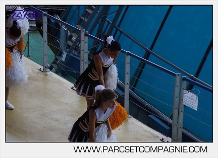 Marineland - Orques - spectacle 15h15 - 5333