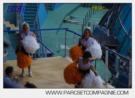 Marineland - Orques - spectacle 15h15 - 5334