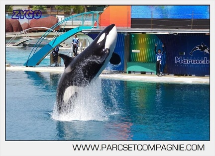Marineland - Orques - spectacle 15h15 - 5341