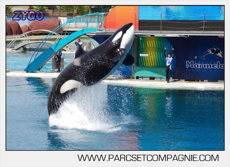 Marineland - Orques - spectacle 15h15 - 5342
