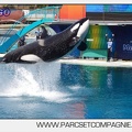 Marineland - Orques - spectacle 15h15 - 5343