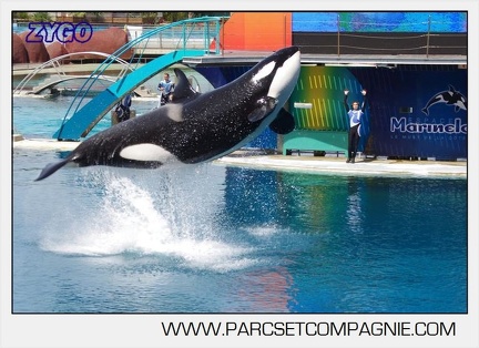 Marineland - Orques - spectacle 15h15 - 5343