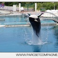 Marineland - Orques - spectacle 15h15 - 5345