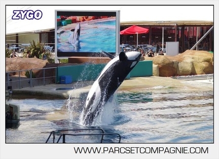 Marineland - Orques - spectacle 15h15 - 5347