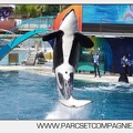 Marineland - Orques - spectacle 15h15 - 5348