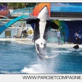 Marineland - Orques - spectacle 15h15 - 5349