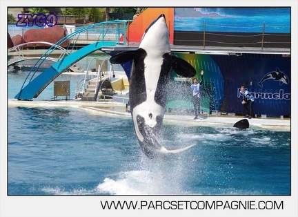 Marineland - Orques - spectacle 15h15 - 5349