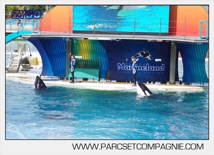Marineland - Orques - spectacle 15h15 - 5350