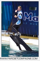 Marineland - Orques - spectacle 15h15 - 5351