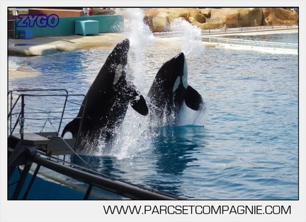 Marineland - Orques - spectacle 15h15 - 5353