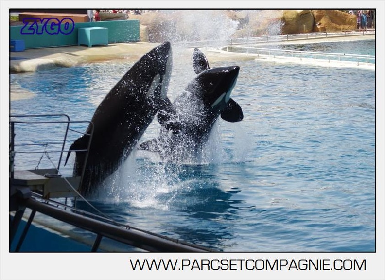 Marineland - Orques - spectacle 15h15 - 5354