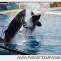 Marineland - Orques - spectacle 15h15 - 5354