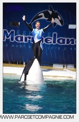 Marineland - Orques - spectacle 15h15 - 5357