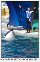 Marineland - Orques - spectacle 15h15 - 5358
