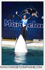Marineland - Orques - spectacle 15h15 - 5359