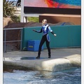 Marineland - Orques - spectacle 15h15 - 5360
