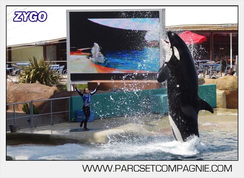 Marineland - Orques - spectacle 15h15 - 5361