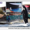 Marineland - Orques - spectacle 15h15 - 5361