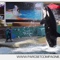 Marineland - Orques - spectacle 15h15 - 5362