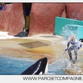 Marineland - Orques - spectacle 15h15 - 5363