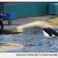Marineland - Orques - spectacle 15h15 - 5364