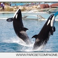 Marineland - Orques - spectacle 15h15 - 5366