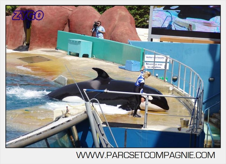 Marineland - Orques - spectacle 15h15 - 5367