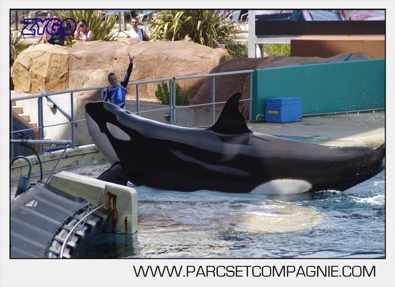 Marineland - Orques - spectacle 15h15 - 5368