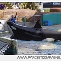 Marineland - Orques - spectacle 15h15 - 5368