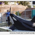 Marineland - Orques - spectacle 15h15 - 5369