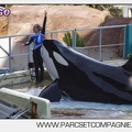 Marineland - Orques - spectacle 15h15 - 5370