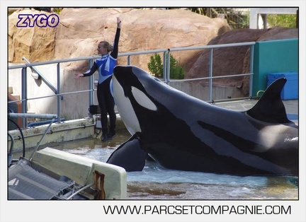 Marineland - Orques - spectacle 15h15 - 5370