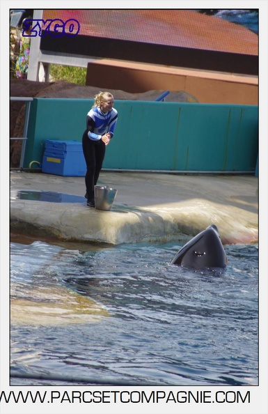 Marineland - Orques - spectacle 15h15 - 5371