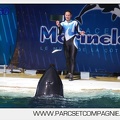 Marineland - Orques - spectacle 15h15 - 5373