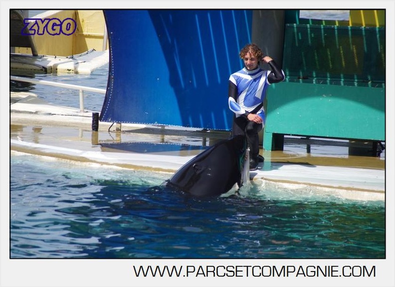Marineland - Orques - spectacle 15h15 - 5374