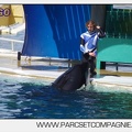 Marineland - Orques - spectacle 15h15 - 5374