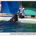 Marineland - Orques - spectacle 15h15 - 5375