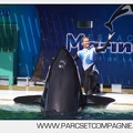 Marineland - Orques - spectacle 15h15 - 5376