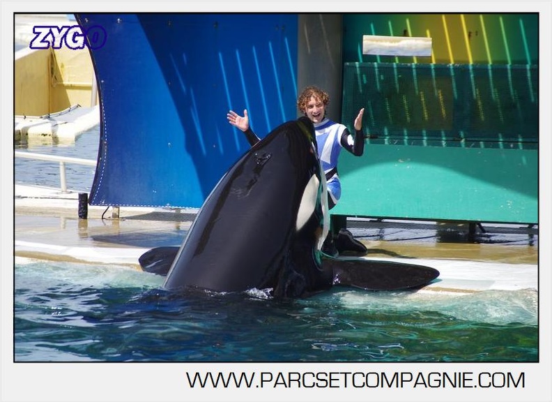 Marineland - Orques - spectacle 15h15 - 5377