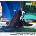 Marineland - Orques - spectacle 15h15 - 5377