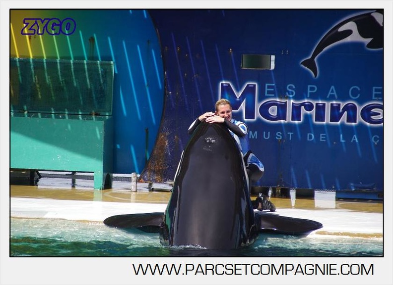 Marineland - Orques - spectacle 15h15 - 5378