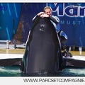 Marineland - Orques - spectacle 15h15 - 5379