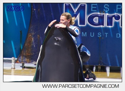 Marineland - Orques - spectacle 15h15 - 5380