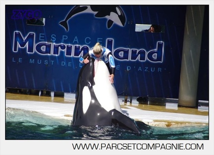 Marineland - Orques - spectacle 15h15 - 5384
